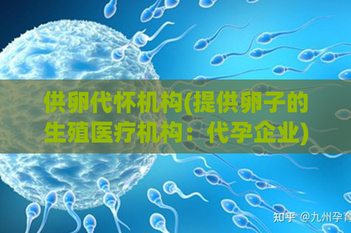 供卵代怀机构(提供卵子的生殖医疗机构：代孕企业)